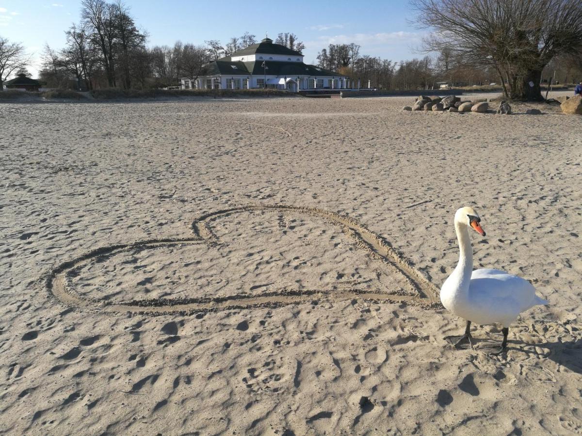 Fewo "Hafenblick" Ueckermünde Zewnętrze zdjęcie