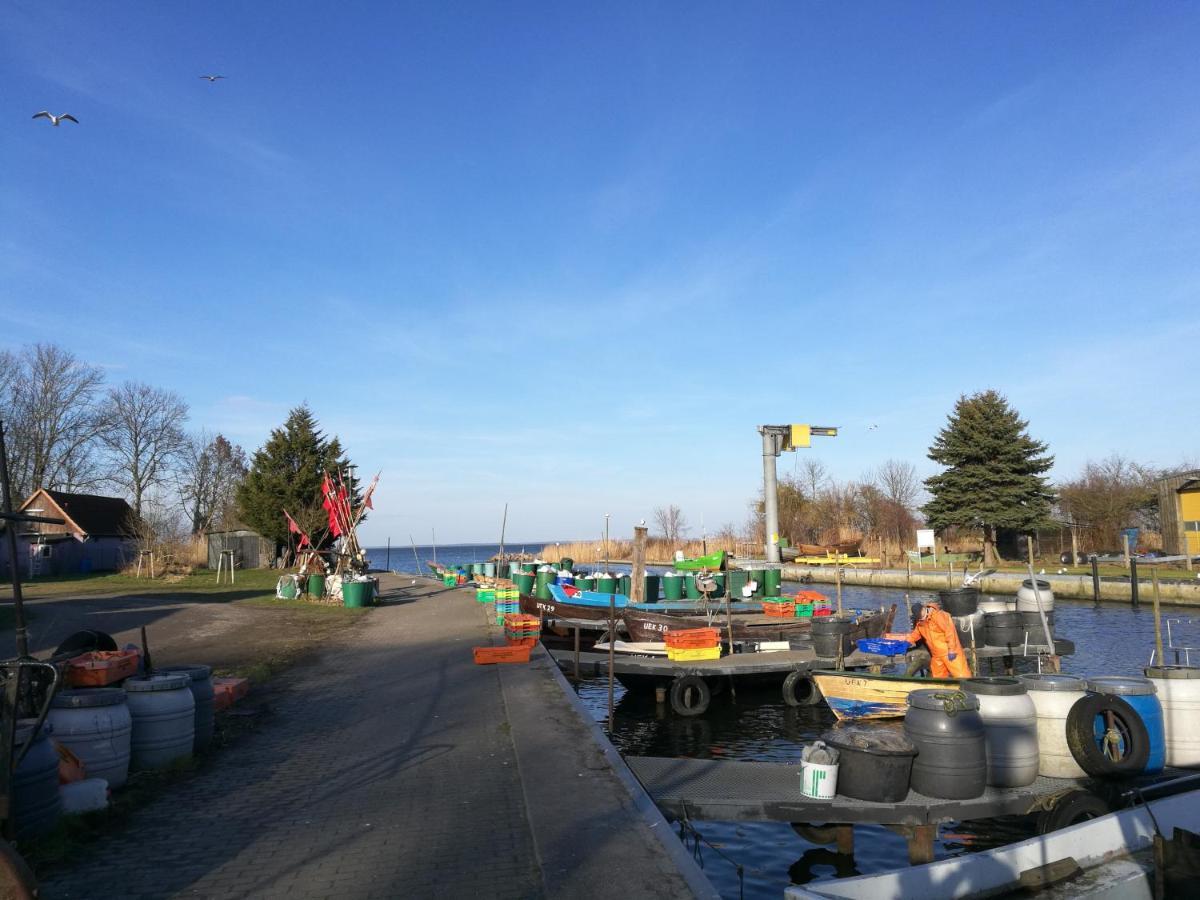 Fewo "Hafenblick" Ueckermünde Zewnętrze zdjęcie