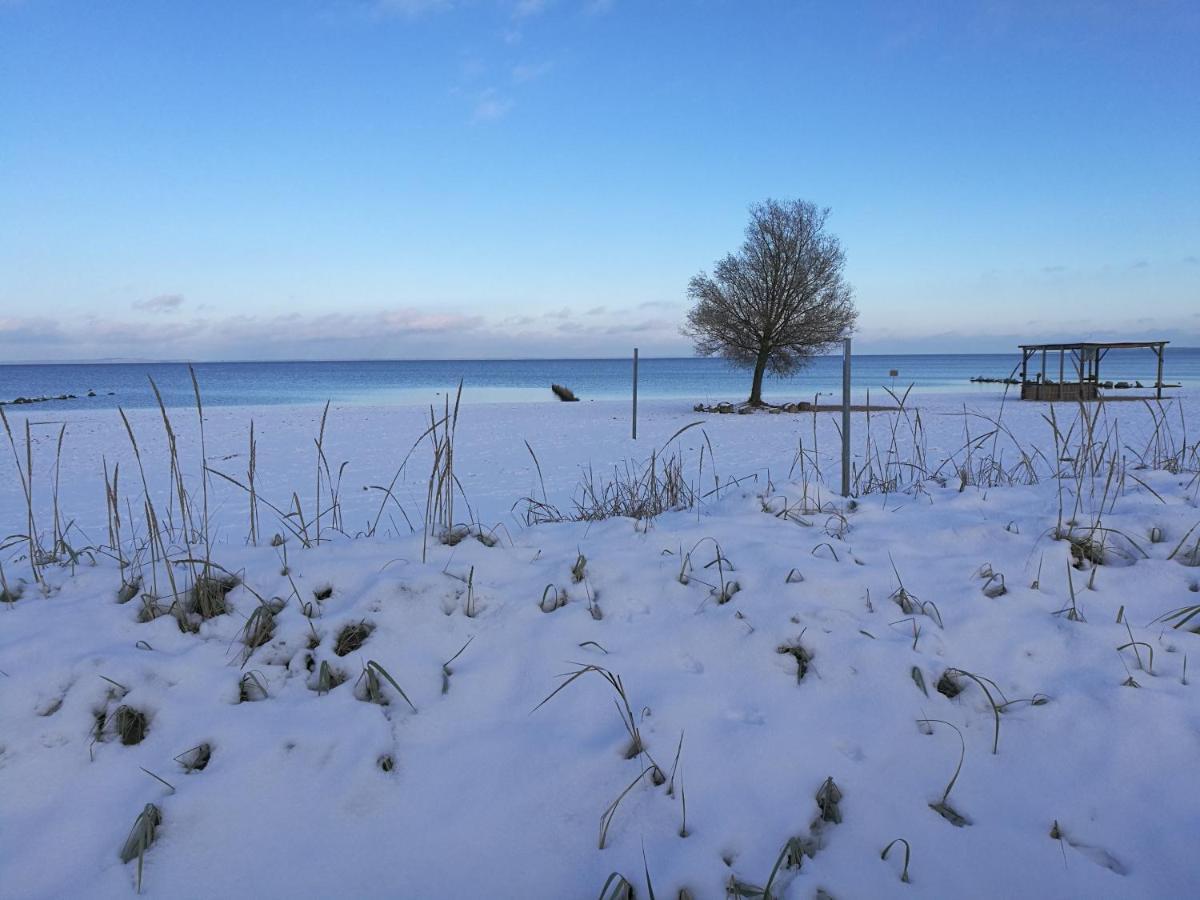 Fewo "Hafenblick" Ueckermünde Zewnętrze zdjęcie