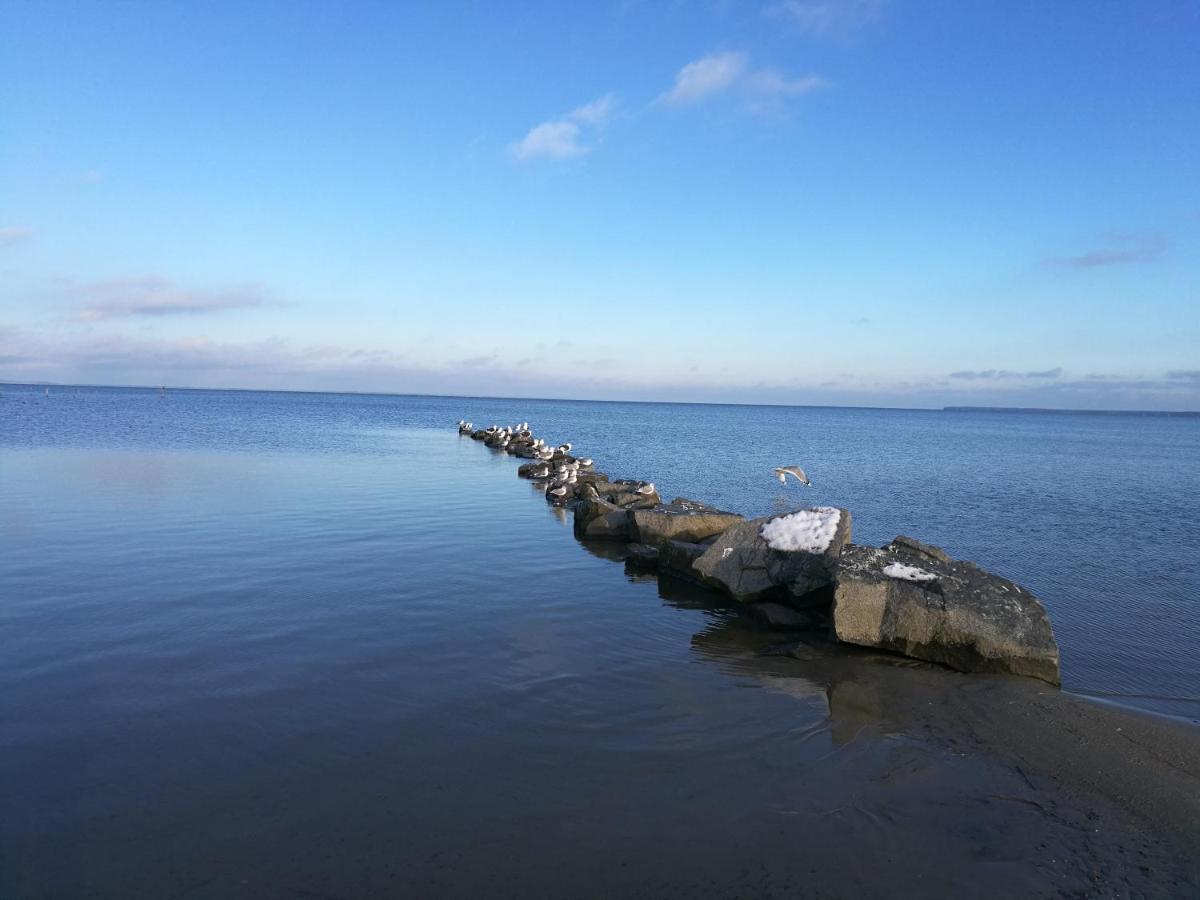 Fewo "Hafenblick" Ueckermünde Zewnętrze zdjęcie