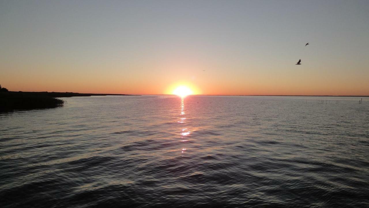 Fewo "Hafenblick" Ueckermünde Zewnętrze zdjęcie