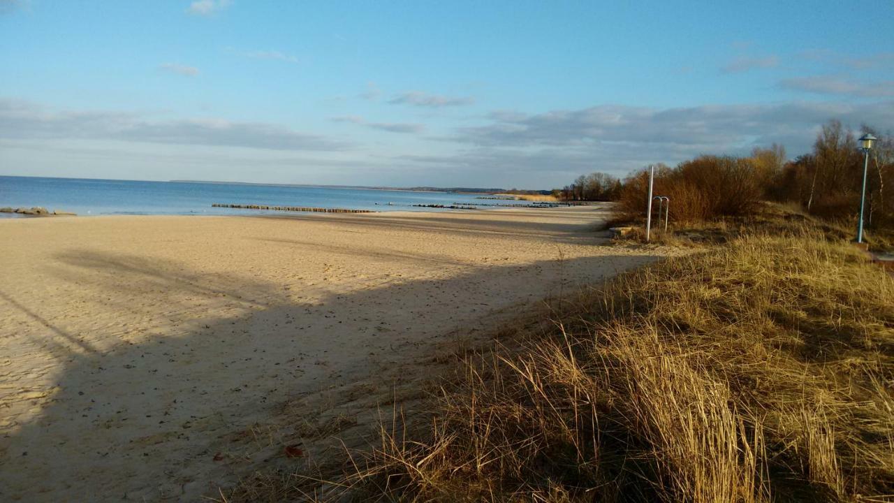 Fewo "Hafenblick" Ueckermünde Zewnętrze zdjęcie